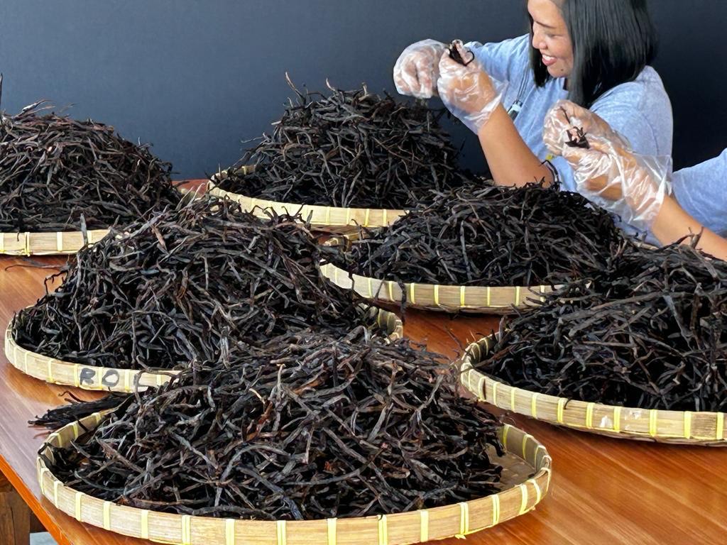 8966cef8-ab95-4866-8d51-533837c18fc0