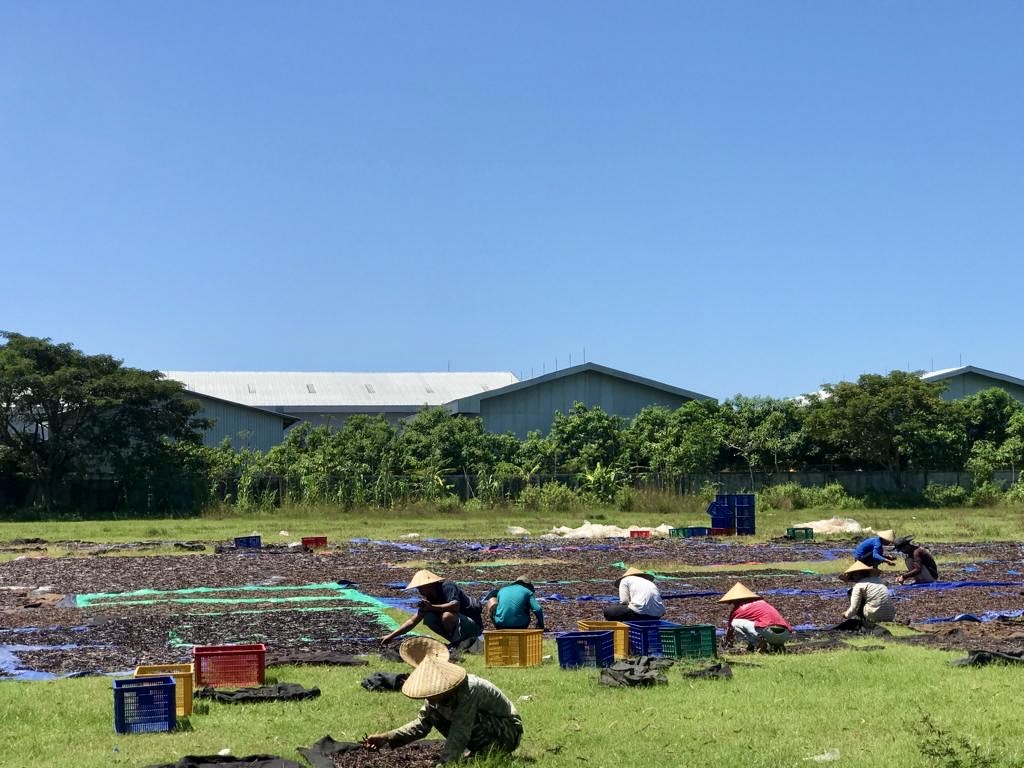 ae6c7c14-64ed-40bc-a384-cfe1a638af7b